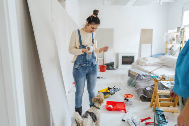 Best Drywall Installation  in Fridley, MN